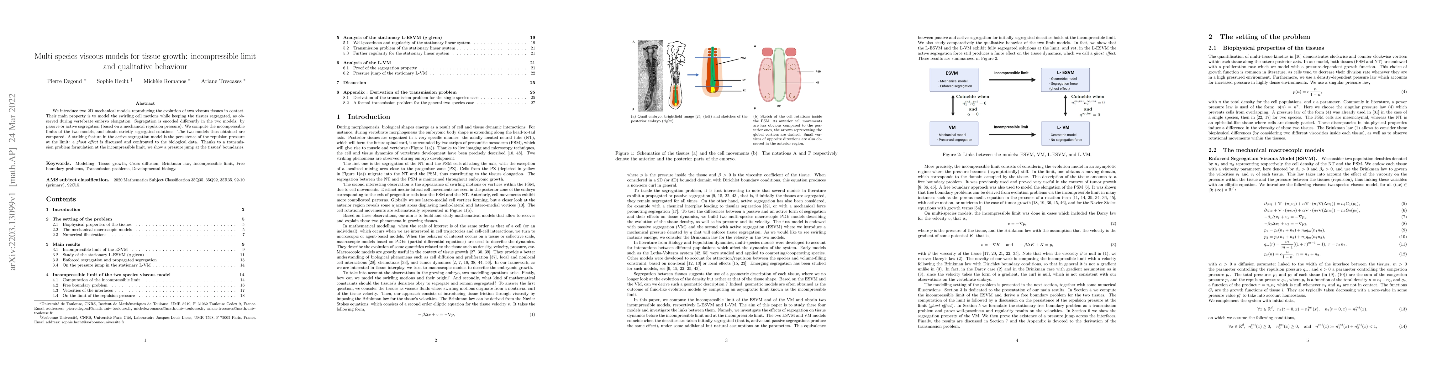 Thumbnail for Multi-species viscous models for tissue growth: incompressible limit and
  qualitative behaviour