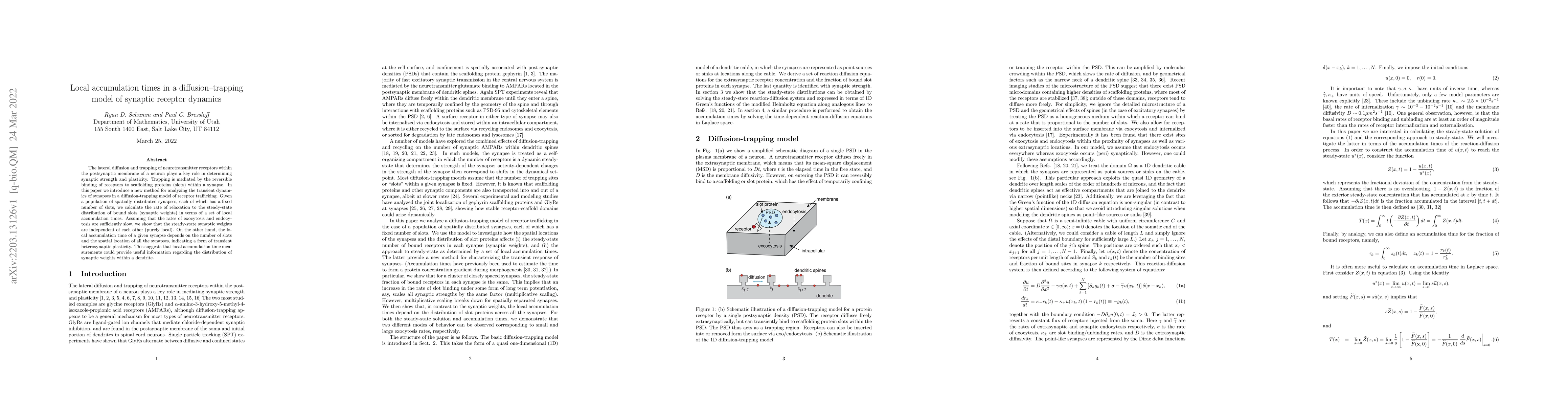 Thumbnail for Local accumulation times in a diffusion-trapping model of synaptic
  receptor dynamics