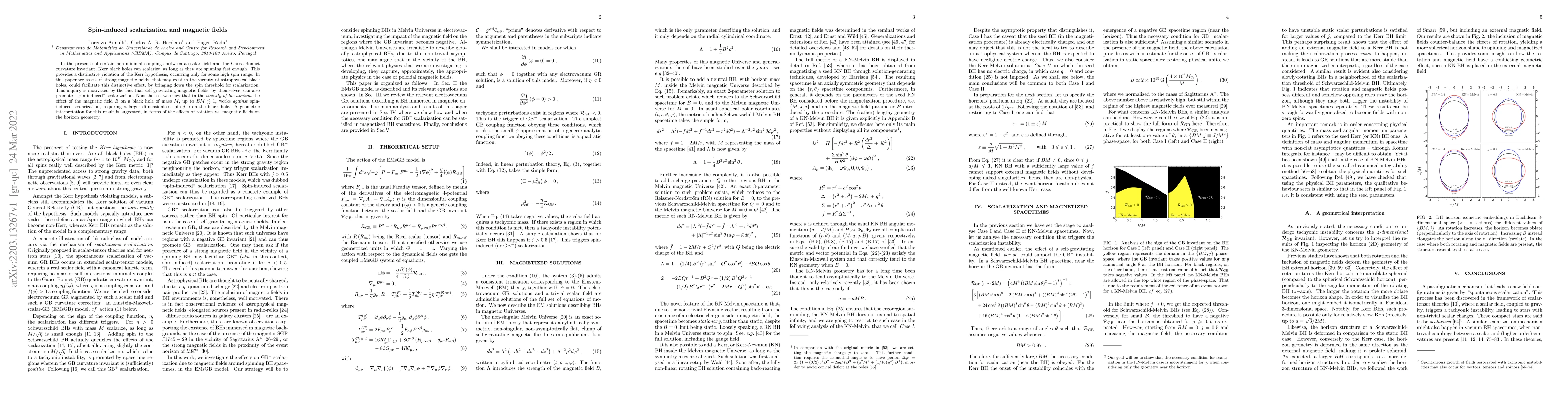 Thumbnail for Spin-induced scalarization and magnetic fields