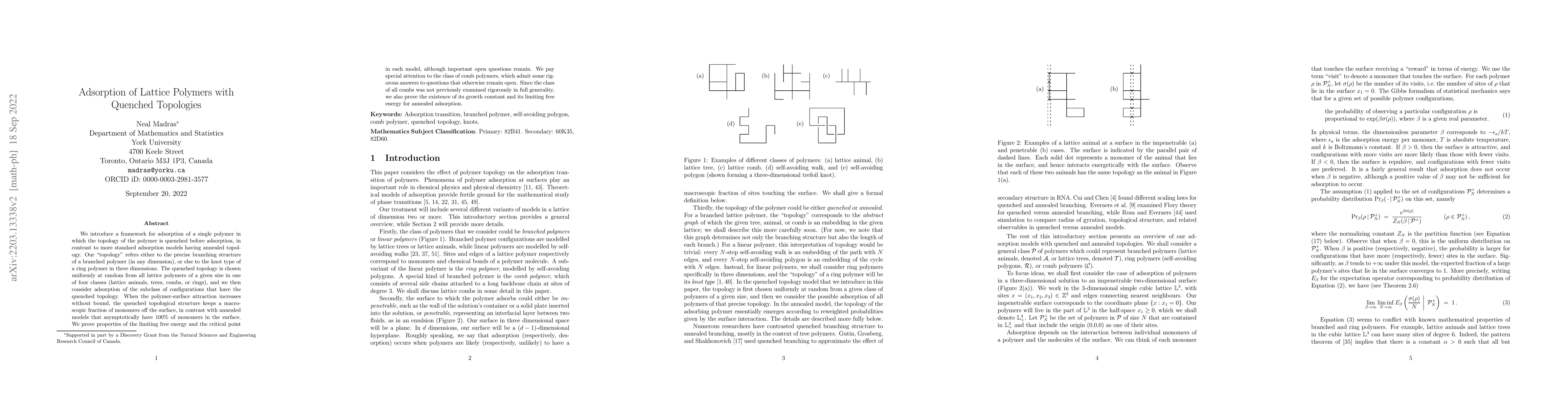 Thumbnail for Adsorption of Lattice Polymers with Quenched Topologies