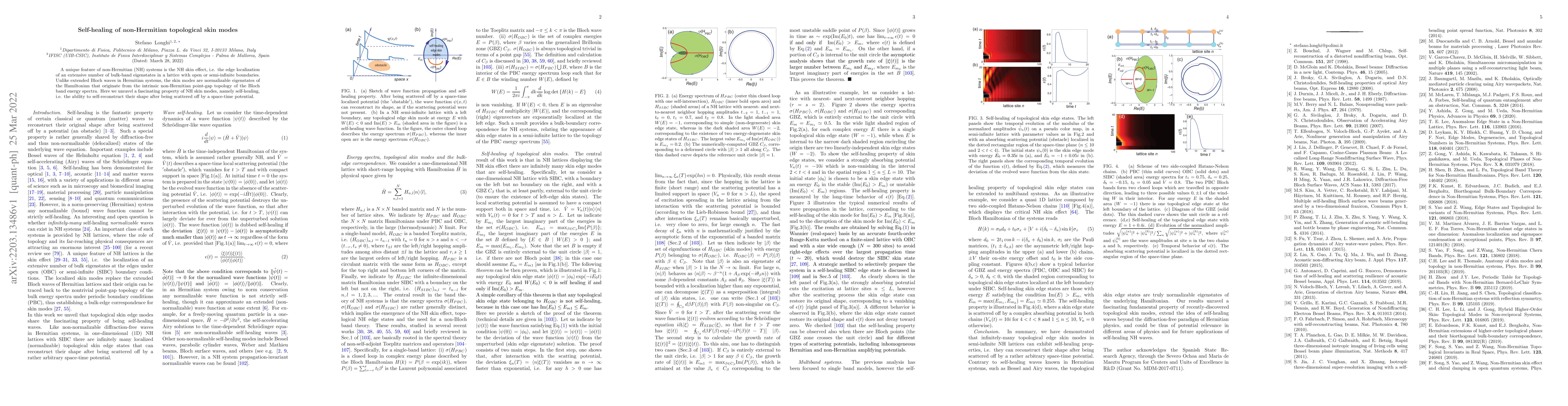 Thumbnail for Self-healing of non-Hermitian topological skin modes