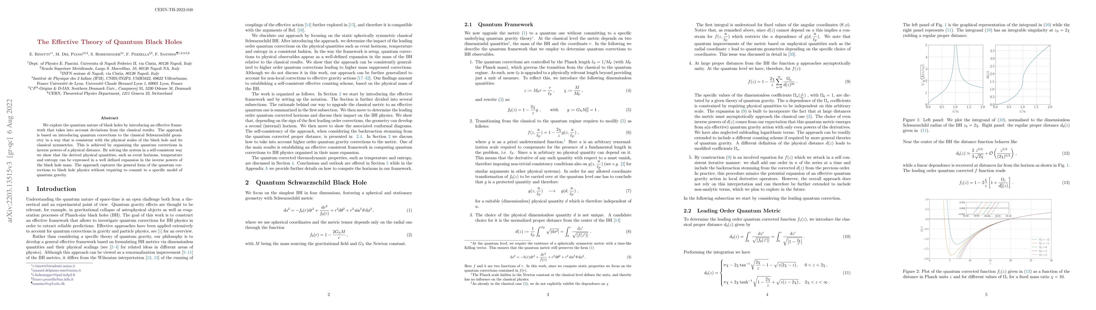 Thumbnail for The Effective Theory of Quantum Black Holes