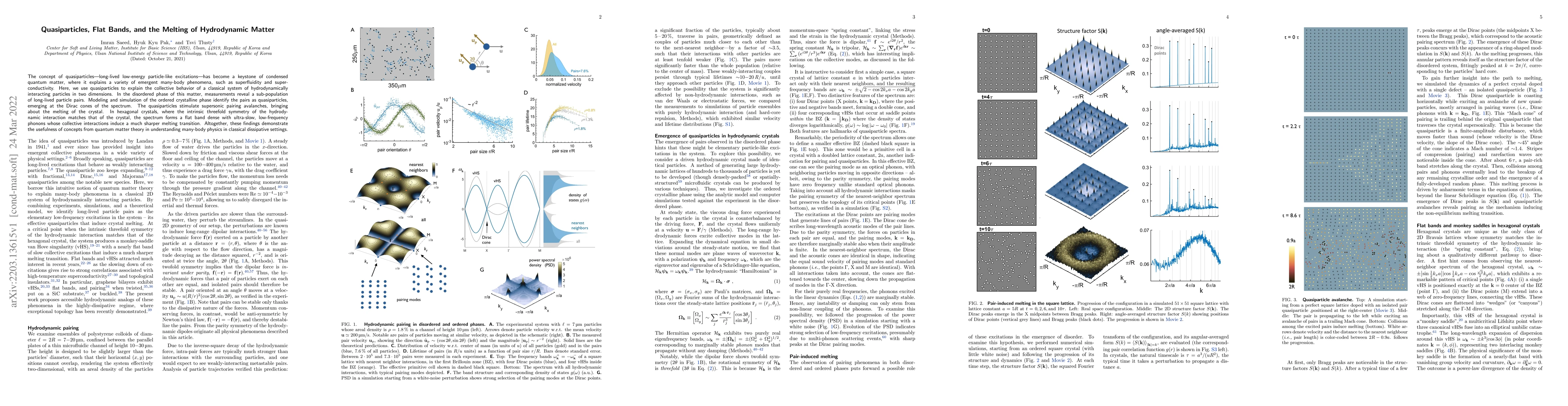 Thumbnail for Quasiparticles, Flat Bands, and the Melting of Hydrodynamic Matter