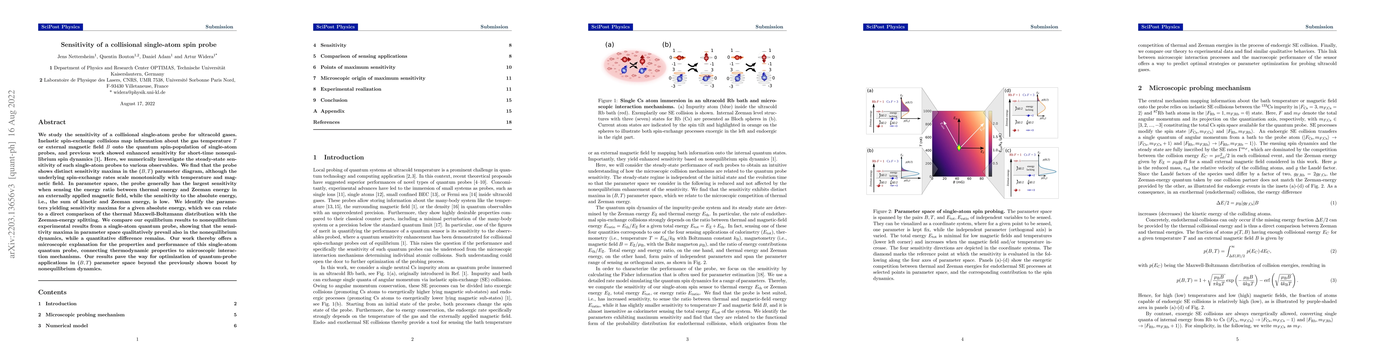 Thumbnail for Sensitivity of a collisional single-atom spin probe