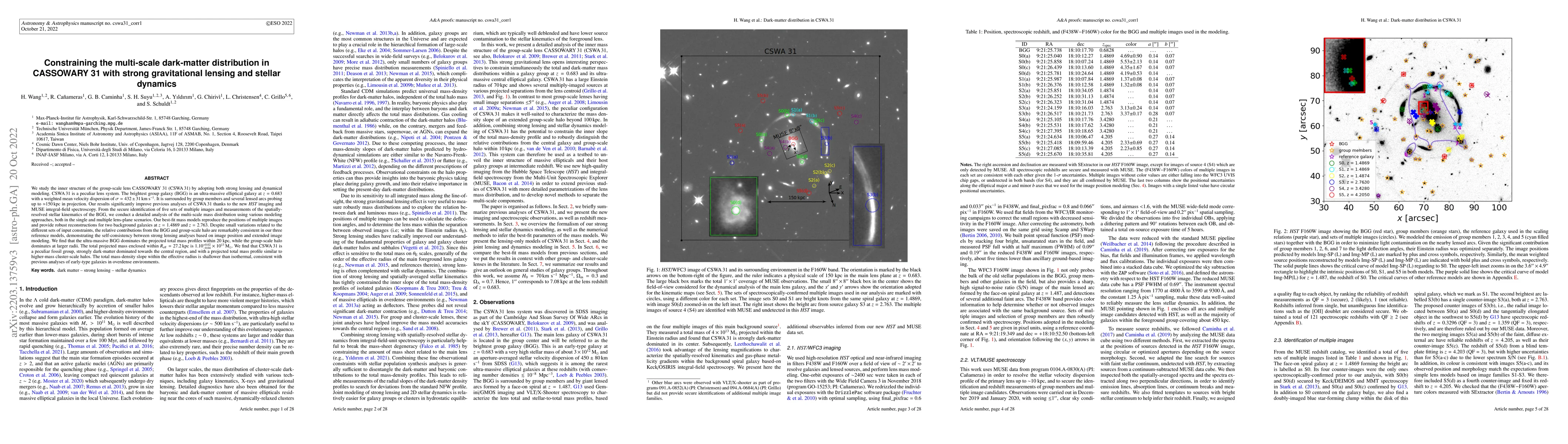 Thumbnail for Constraining the multi-scale dark-matter distribution in CASSOWARY 31
  with strong gravitational lensing and stellar dynamics