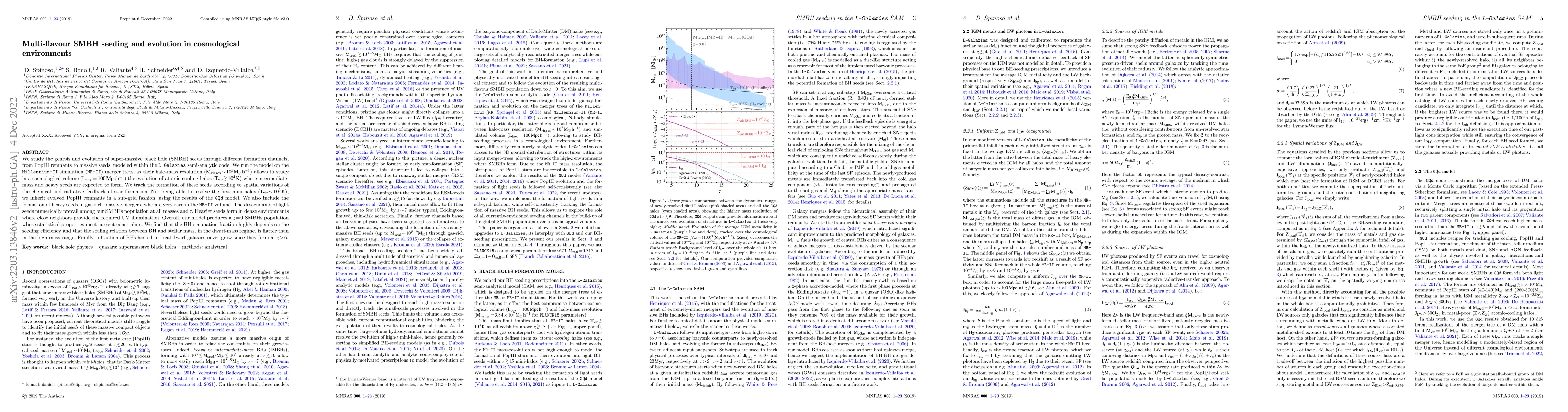 Thumbnail for Multi-flavour SMBH seeding and evolution in cosmological environments