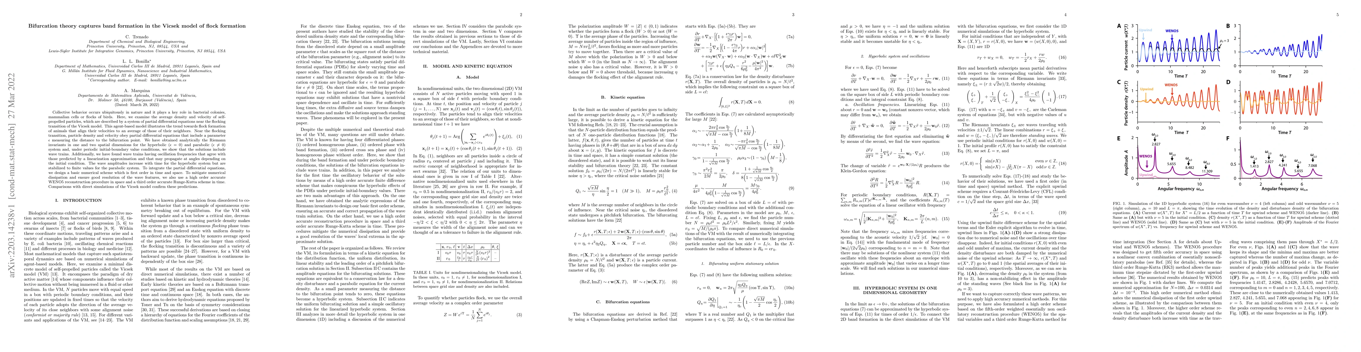 Thumbnail for Bifurcation theory captures band formation in the Vicsek model of flock
  formation