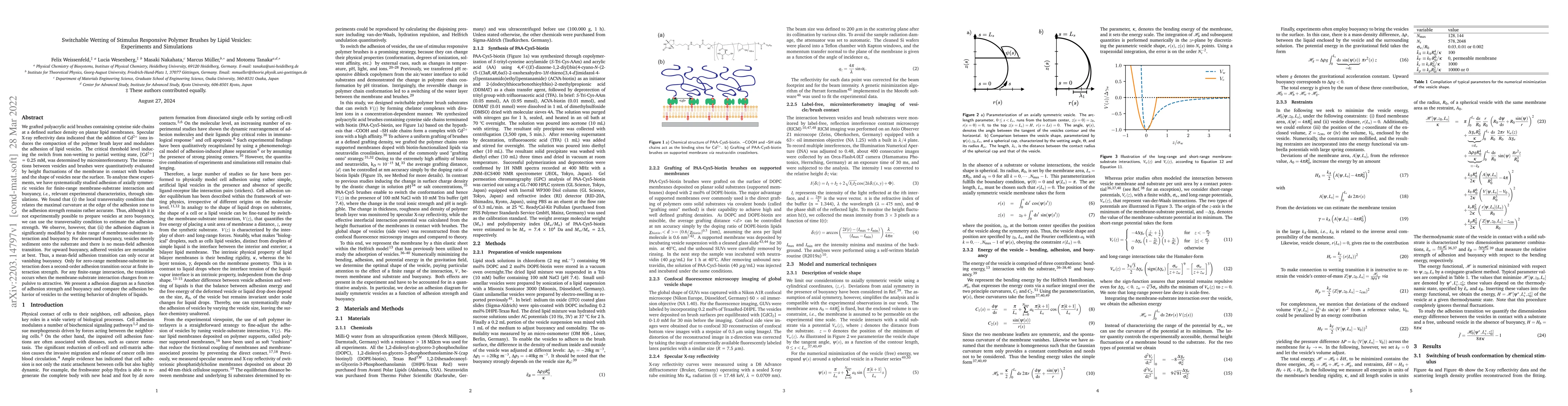 Thumbnail for Switchable Wetting of Stimulus Responsive Polymer Brushes by Lipid
  Vesicles: Experiments and Simulations