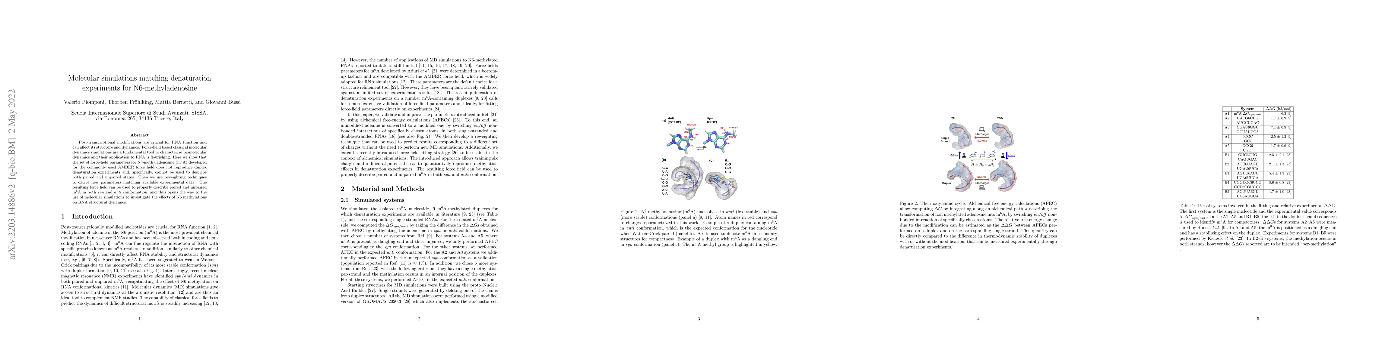 Thumbnail for Molecular simulations matching denaturation experiments for
  N6-Methyladenosine