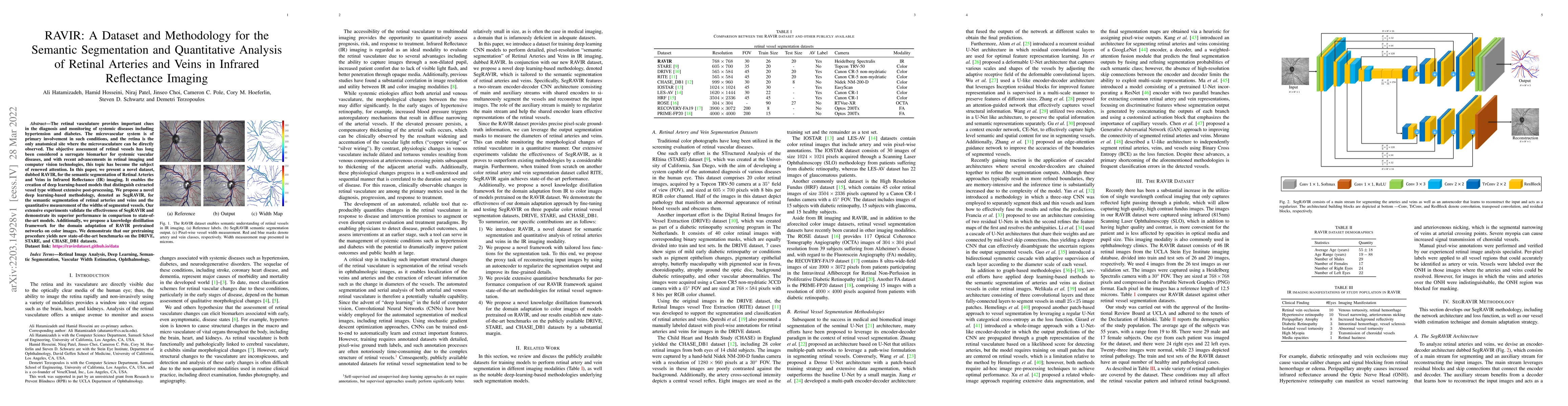 Thumbnail for RAVIR: A Dataset and Methodology for the Semantic Segmentation and
  Quantitative Analysis of Retinal Arteries and Veins in Infrared Reflectance
  Imaging