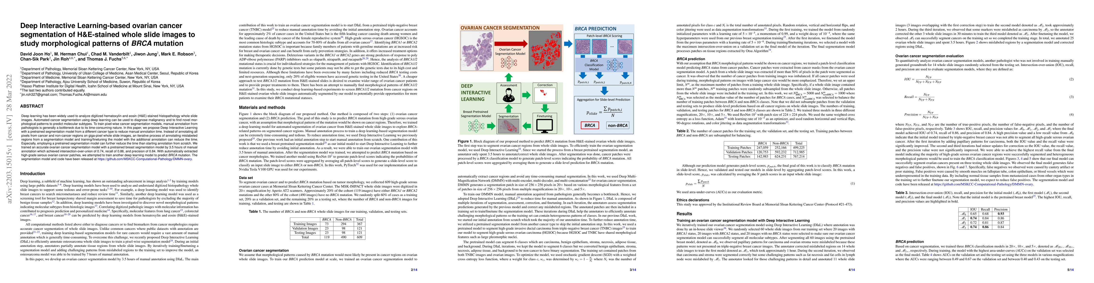 Thumbnail for Deep Interactive Learning-based ovarian cancer segmentation of
  H&E-stained whole slide images to study morphological patterns of BRCA
  mutation