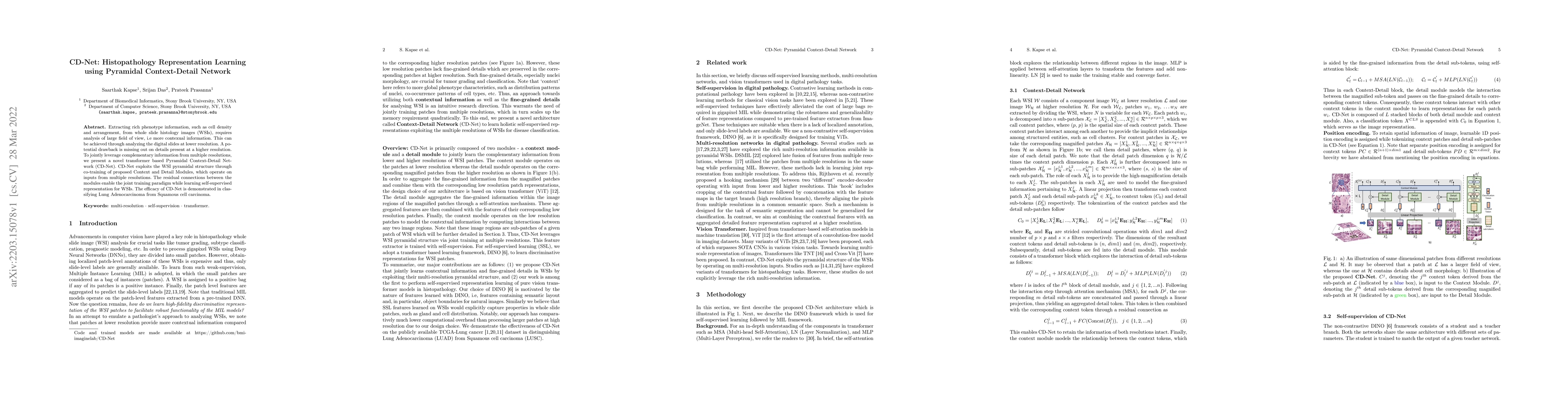 Thumbnail for CD-Net: Histopathology Representation Learning using Pyramidal
  Context-Detail Network