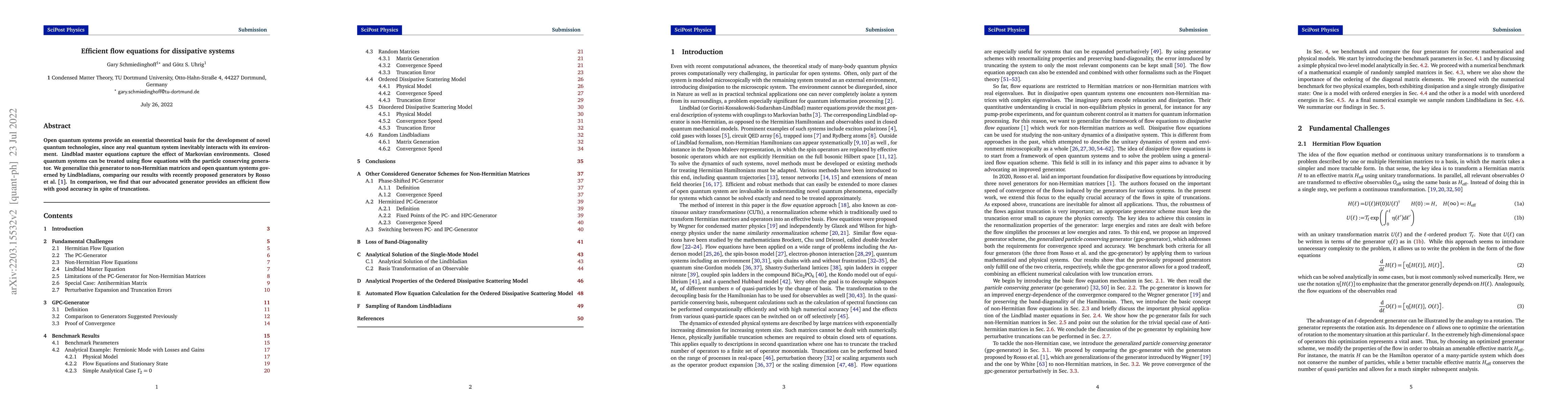 Thumbnail for Efficient flow equations for dissipative systems