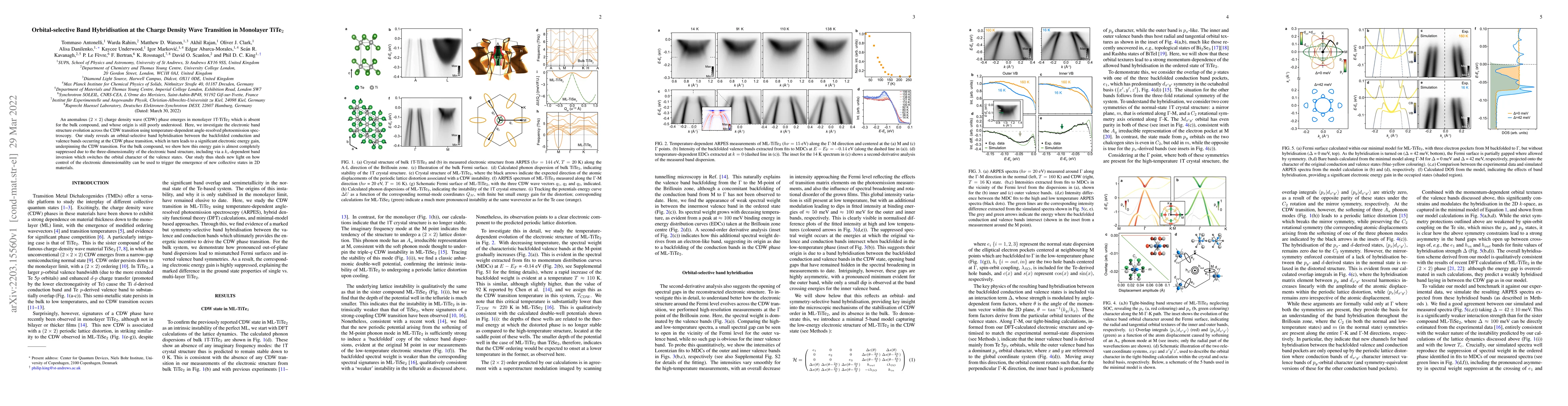 Thumbnail for Orbital-selective Band Hybridisation at the Charge Density Wave
  Transition in Monolayer TiTe$_2$