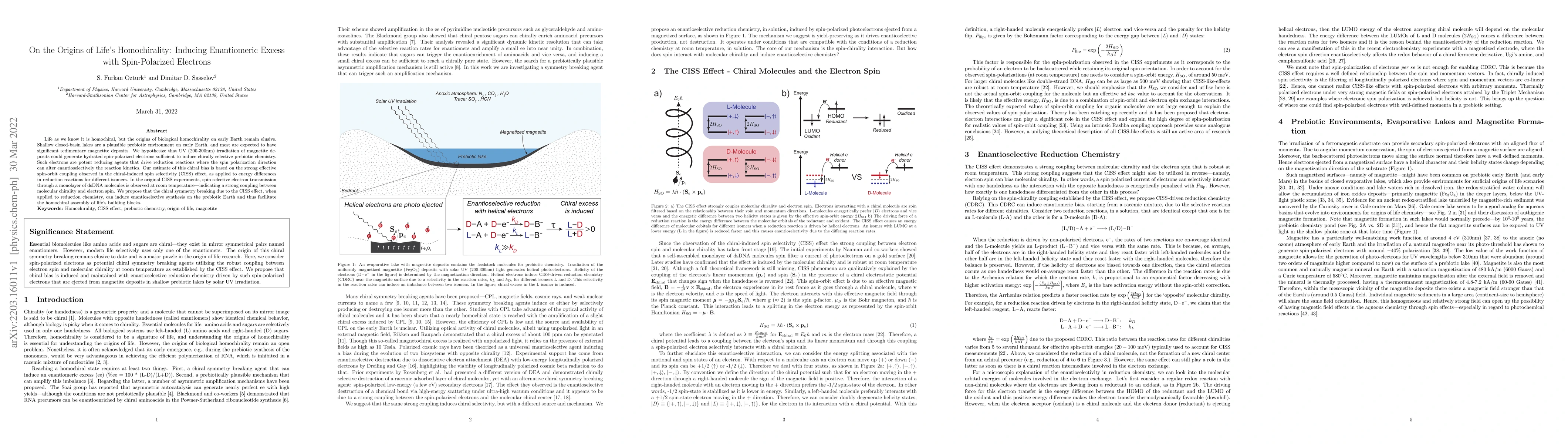 Thumbnail for On the Origins of Life's Homochirality: Inducing Enantiomeric Excess
  with Spin-Polarized Electrons