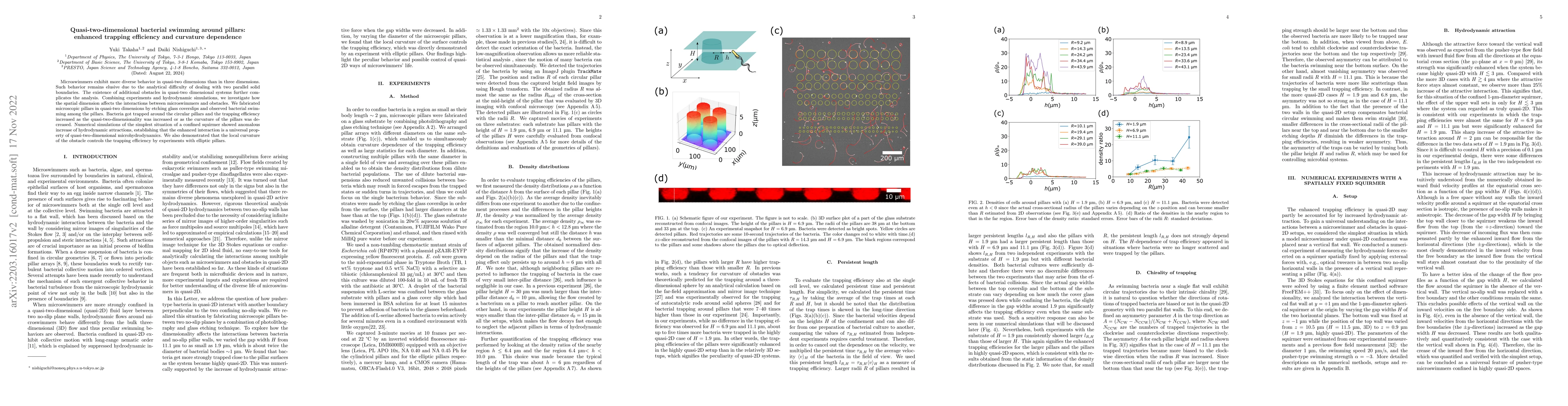 Thumbnail for Quasi-two-dimensional bacterial swimming around pillars: enhanced
  trapping efficiency and curvature dependence
