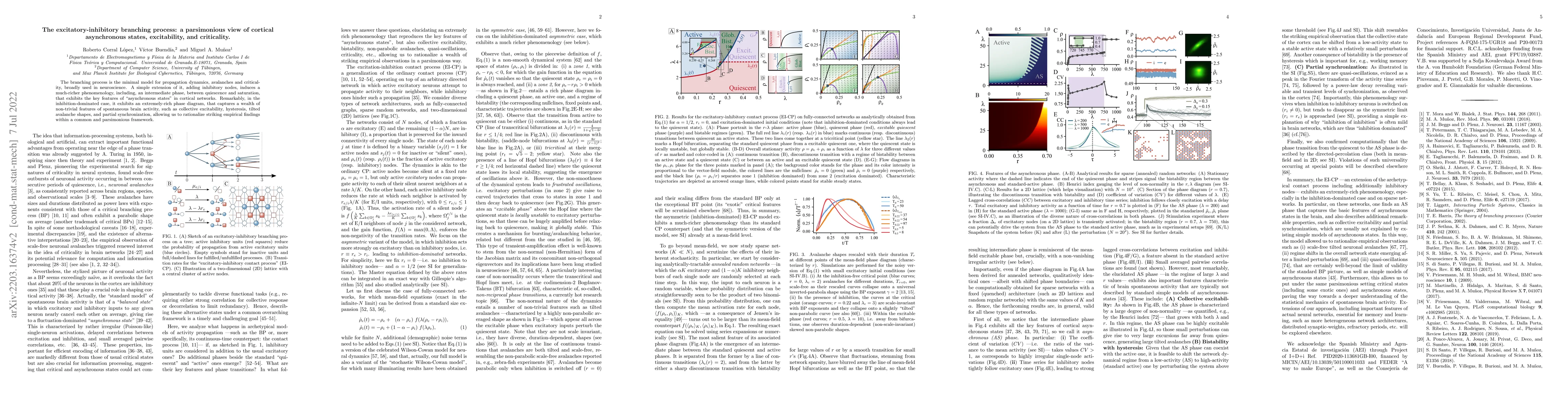 Thumbnail for The excitatory-inhibitory branching process: a parsimonious view of
  cortical asynchronous states, excitability, and criticality
