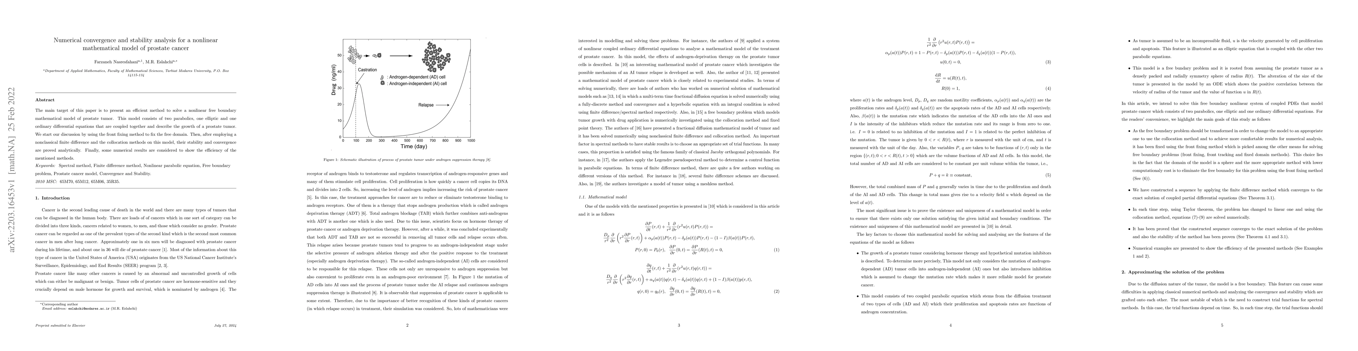 Thumbnail for Numerical convergence and stability analysis for a nonlinear
  mathematical model of prostate cancer