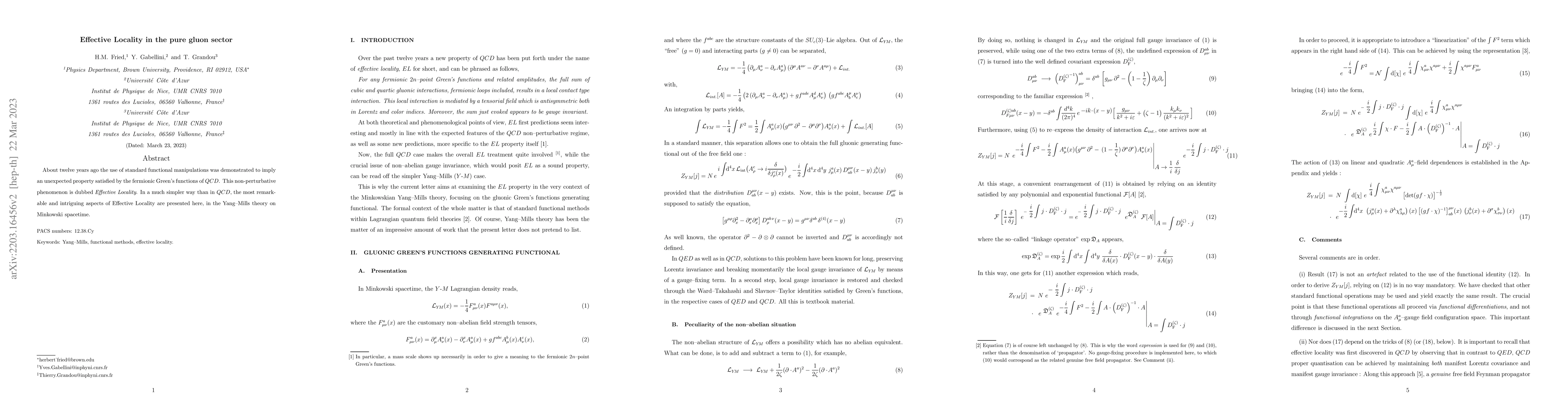 Thumbnail for Effective Locality in the pure gluon sector