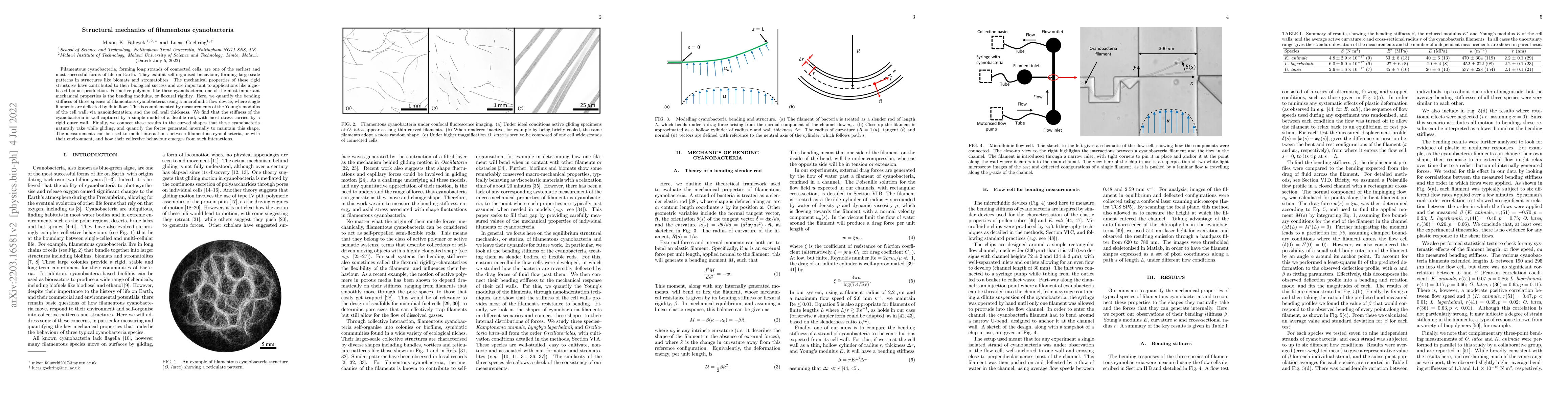 Thumbnail for Structural mechanics of filamentous cyanobacteria