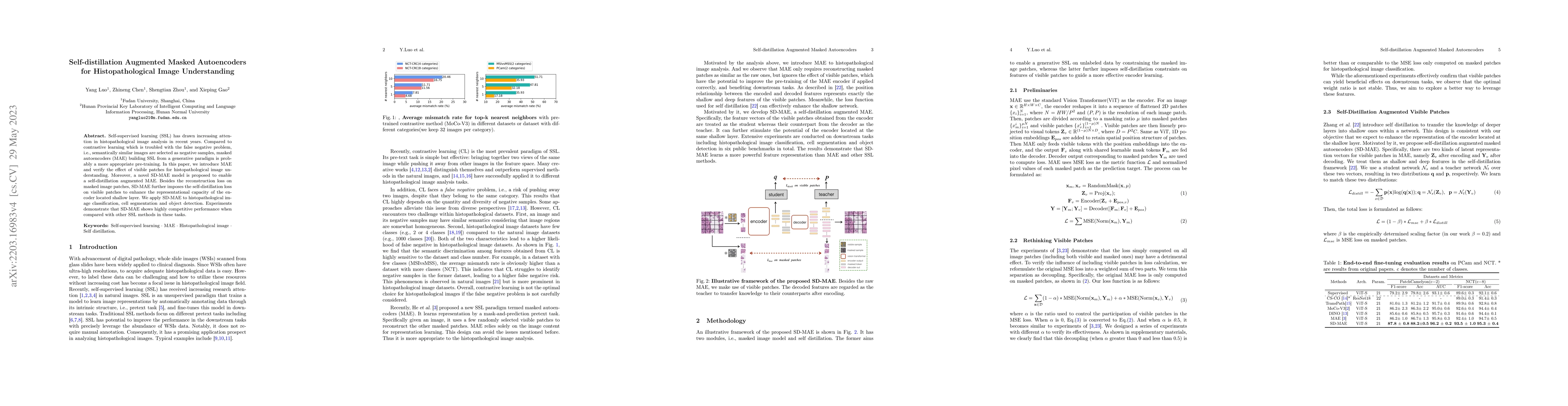 Thumbnail for Self-distillation Augmented Masked Autoencoders for Histopathological
  Image Classification