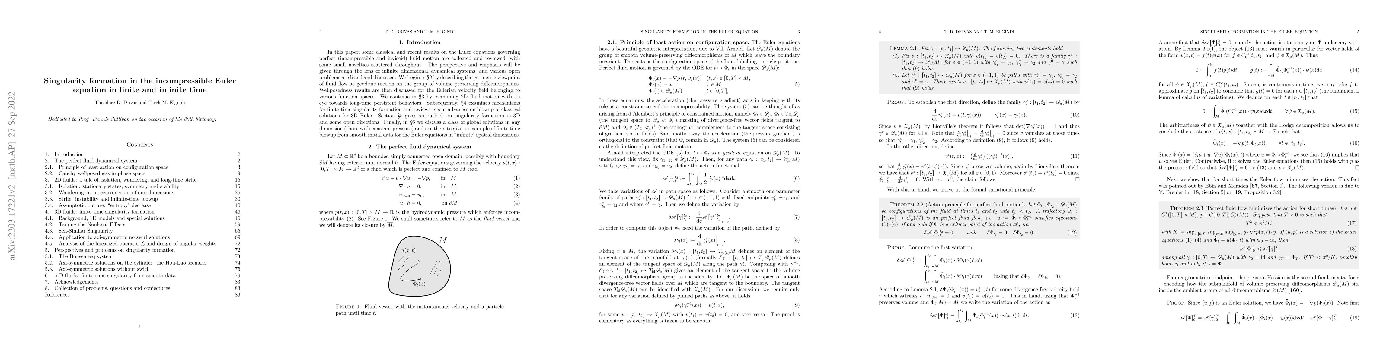 Thumbnail for Singularity formation in the incompressible Euler equation in finite and
  infinite time