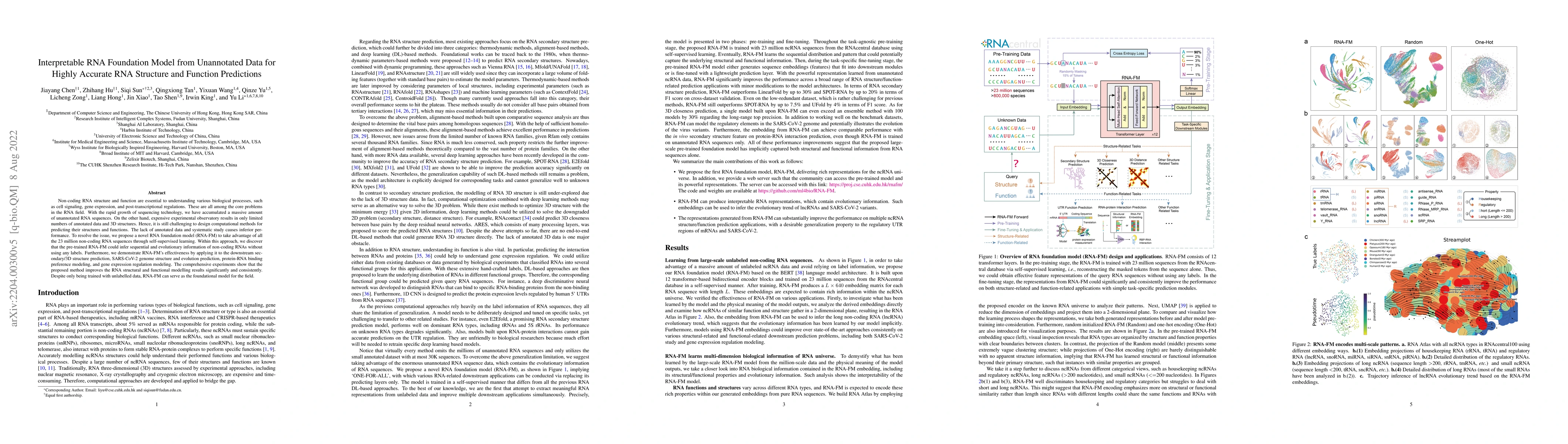 Thumbnail for Interpretable RNA Foundation Model from Unannotated Data for Highly
  Accurate RNA Structure and Function Predictions