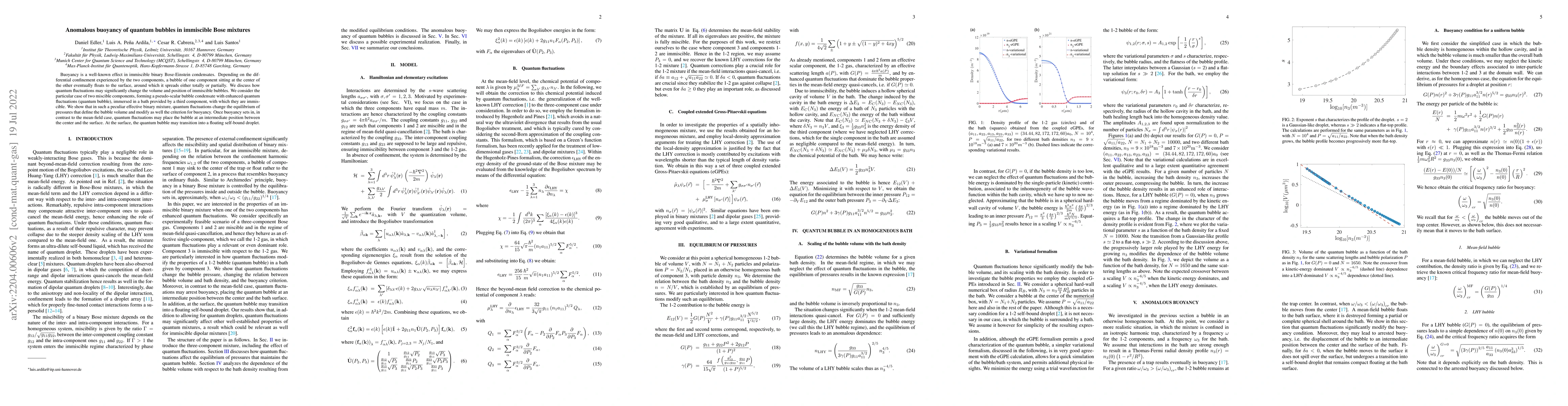 Thumbnail for Anomalous buoyancy of quantum bubbles in immiscible Bose mixtures