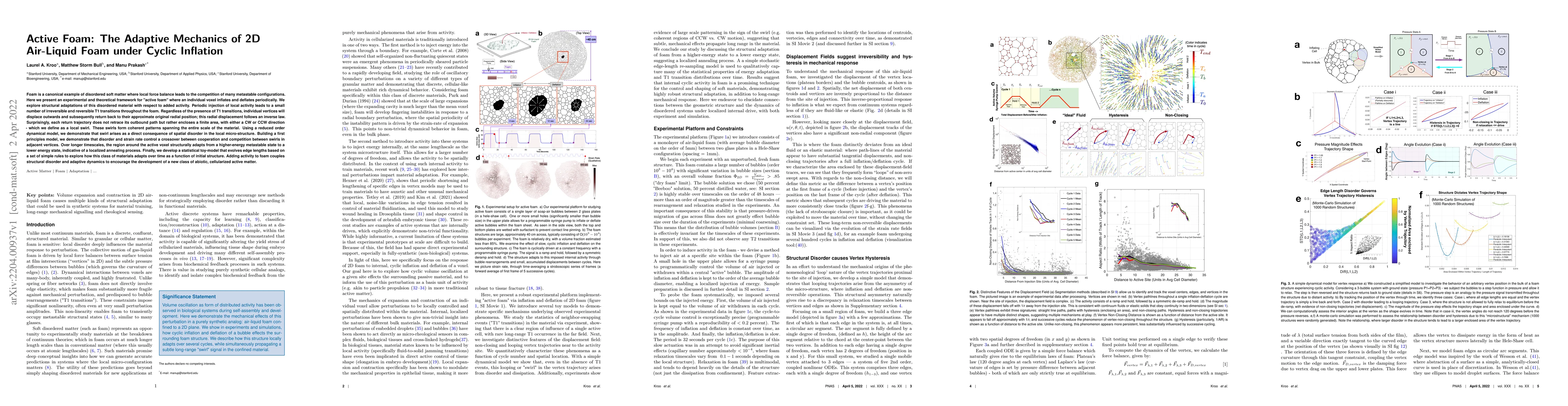 Thumbnail for Active Foam: The Adaptive Mechanics of 2D Air-Liquid Foam under Cyclic
  Inflation