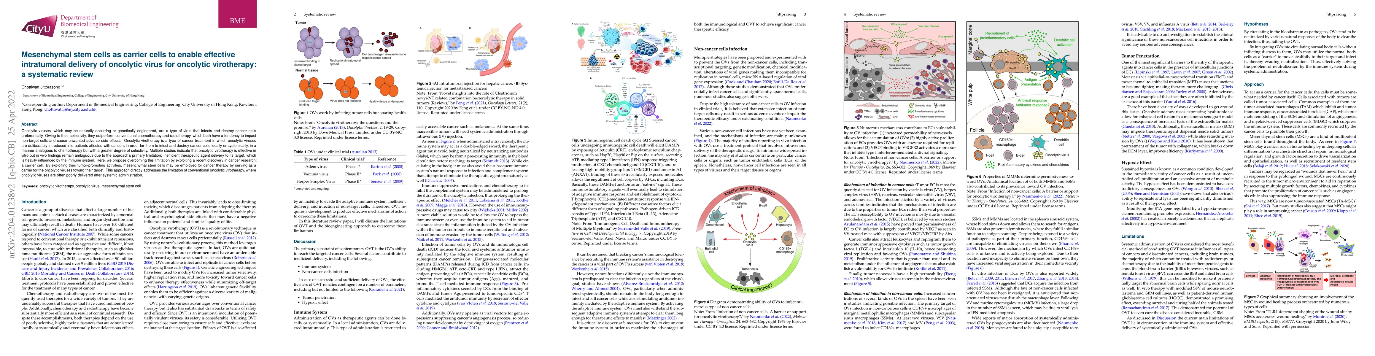 Thumbnail for Mesenchymal stem cells as carrier cells to enable effective intratumoral
  delivery of oncolytic virus for oncolytic virotherapy: a systematic review