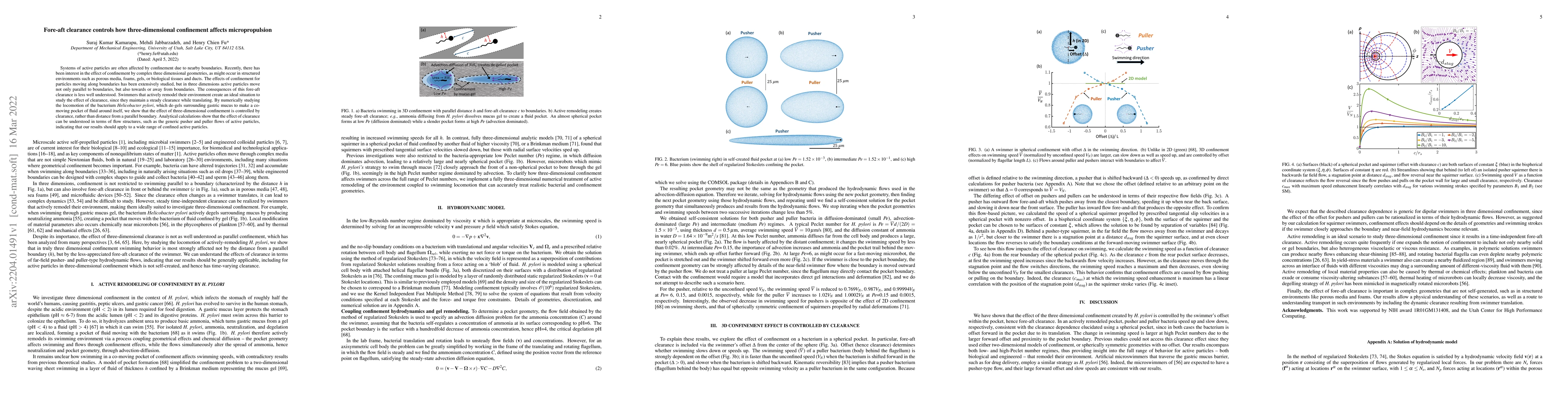 Thumbnail for Fore-aft clearance controls how three-dimensional confinement affects
  micropropulsion