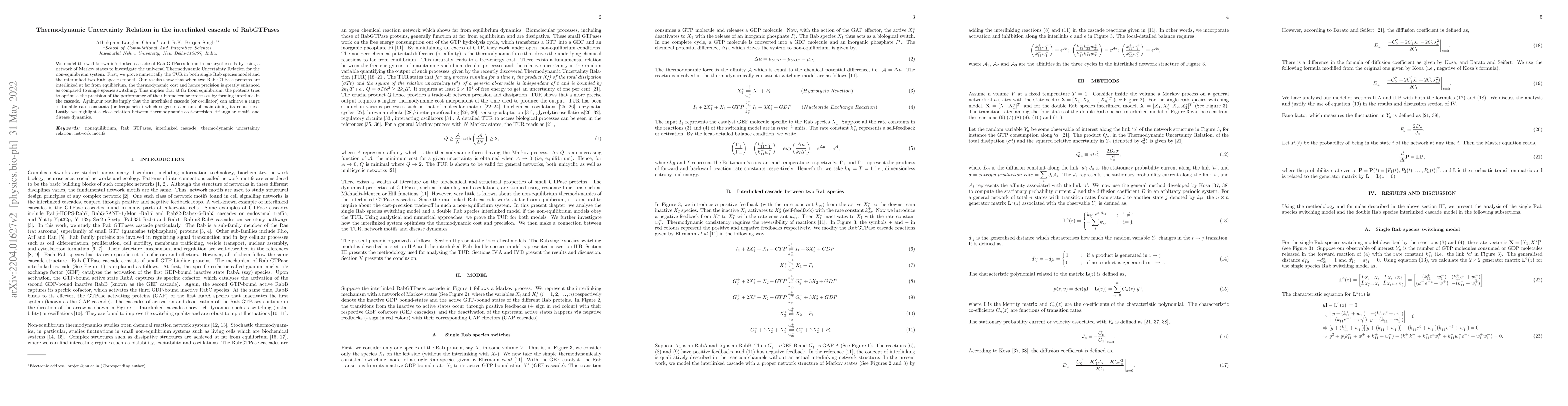 Thumbnail for Thermodynamic Uncertainty Relation in the interlinked cascade of
  RabGTPases