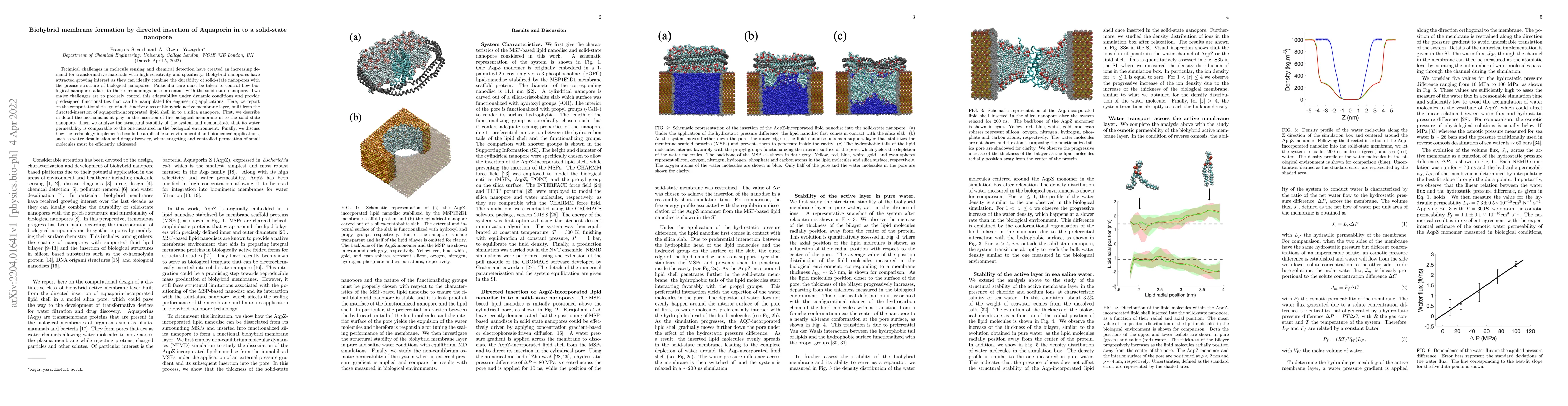 Thumbnail for Biohybrid membrane formation by directed insertion of Aquaporin into a
  solid-state nanopore