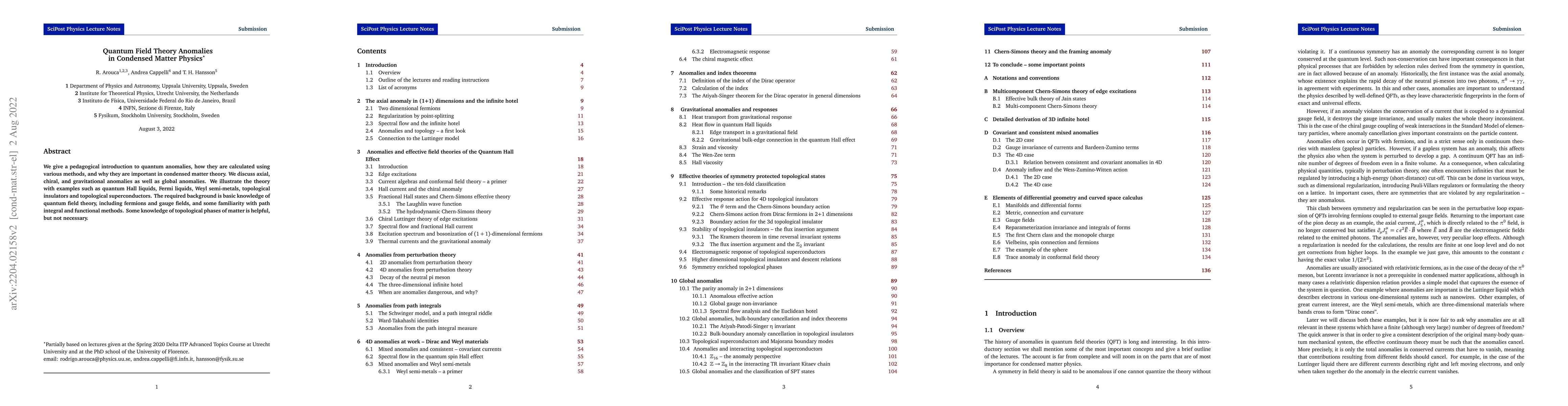 Thumbnail for Quantum Field Theory Anomalies in Condensed Matter Physics