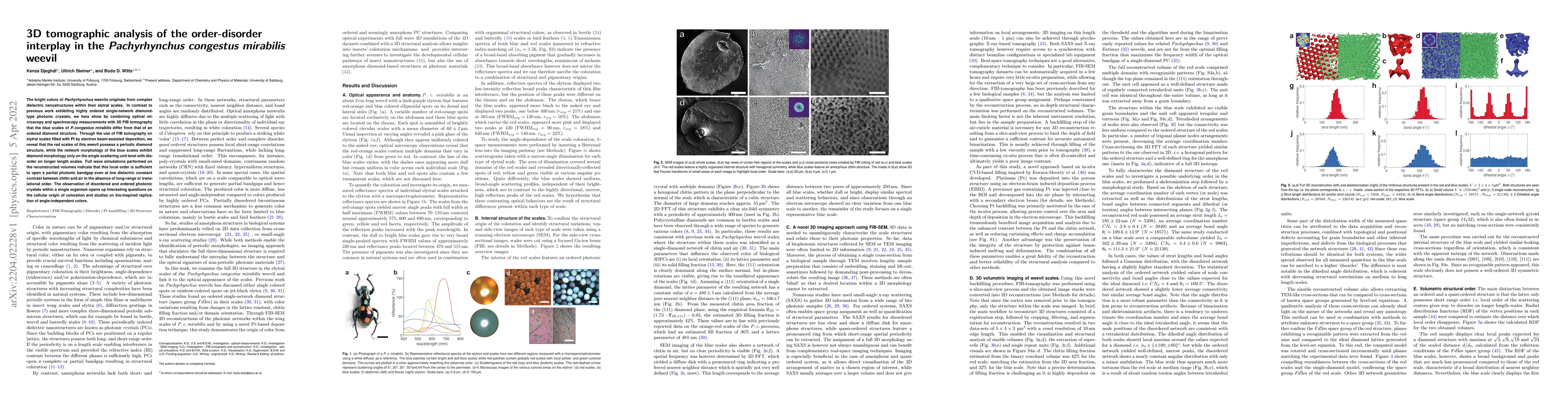 Thumbnail for 3D tomographic analysis of the order-disorder interplay in the
  Pachyrhynchus congestus mirabilis weevil