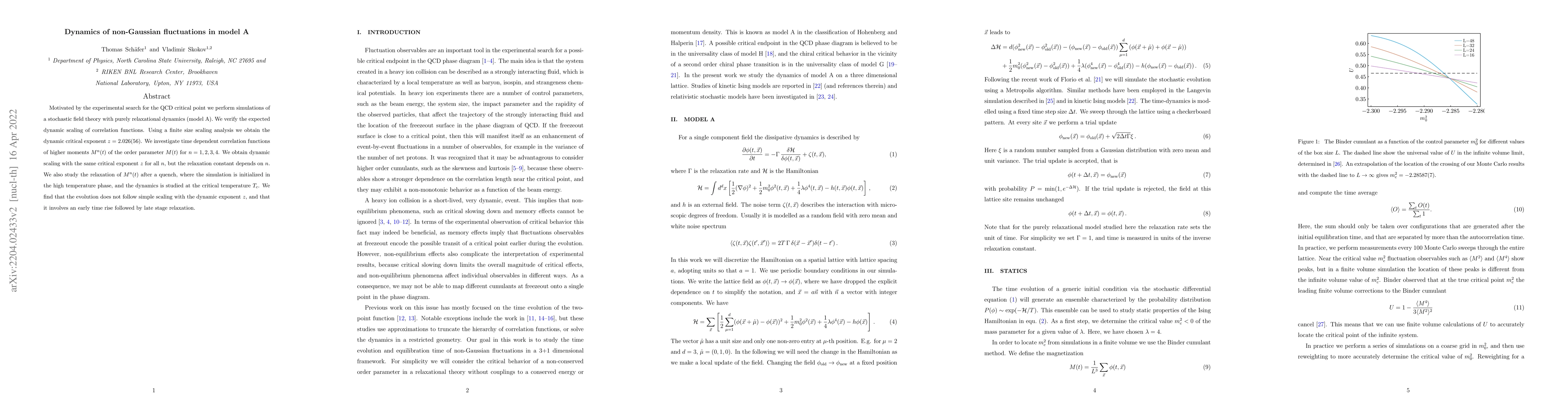 Thumbnail for Dynamics of non-Gaussian fluctuations in model A