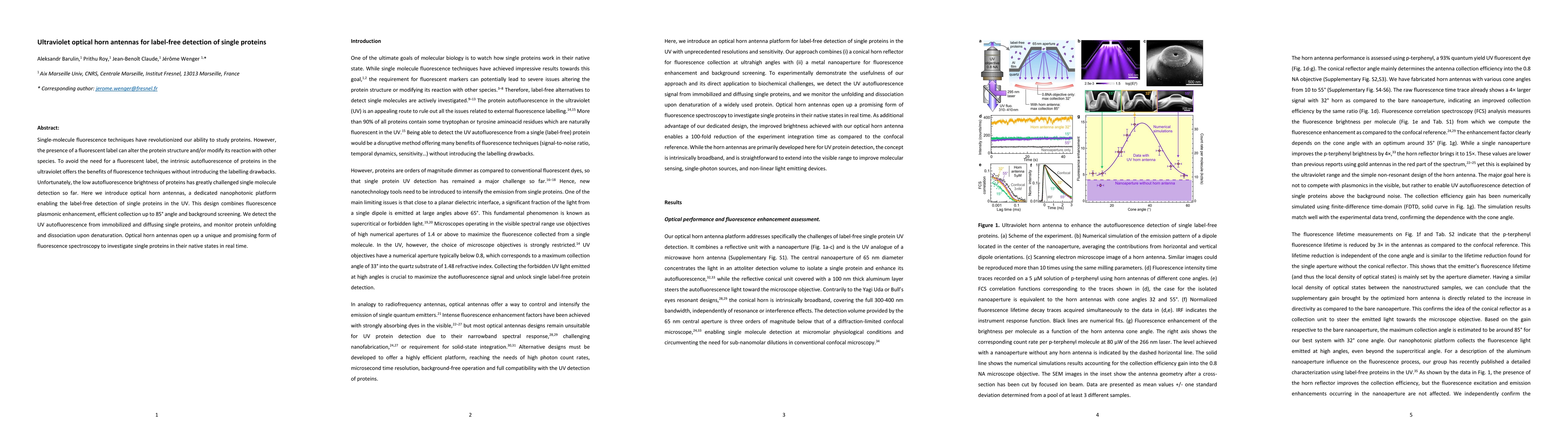 Thumbnail for Ultraviolet optical horn antennas for label-free detection of single
  proteins
