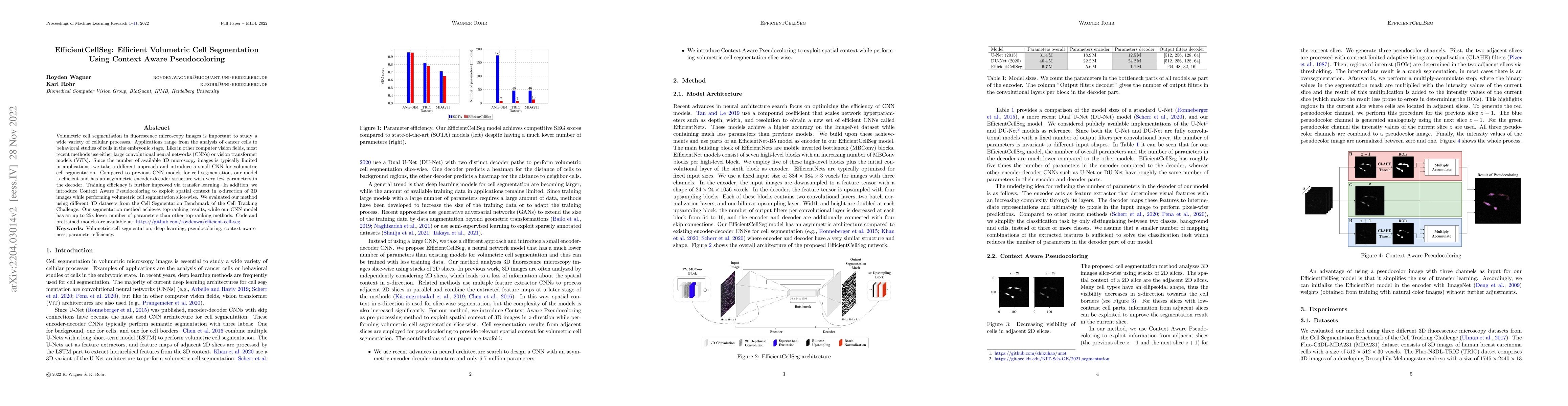 Thumbnail for EfficientCellSeg: Efficient Volumetric Cell Segmentation Using Context
  Aware Pseudocoloring