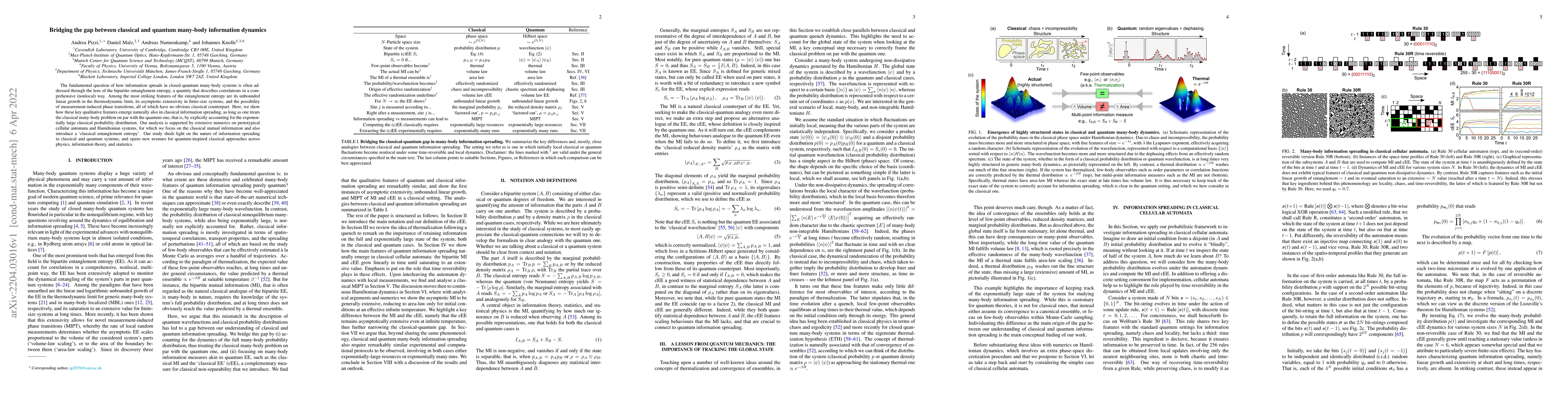 Thumbnail for Bridging the gap between classical and quantum many-body information
  dynamics