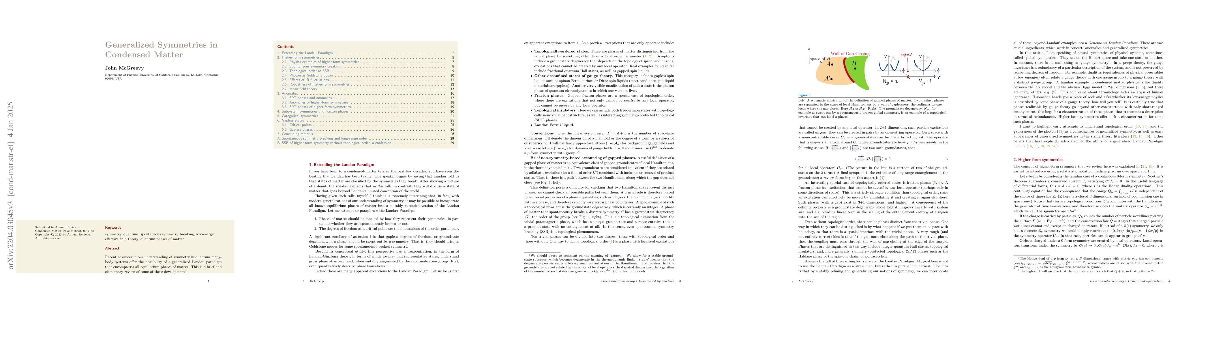 Thumbnail for Generalized Symmetries in Condensed Matter