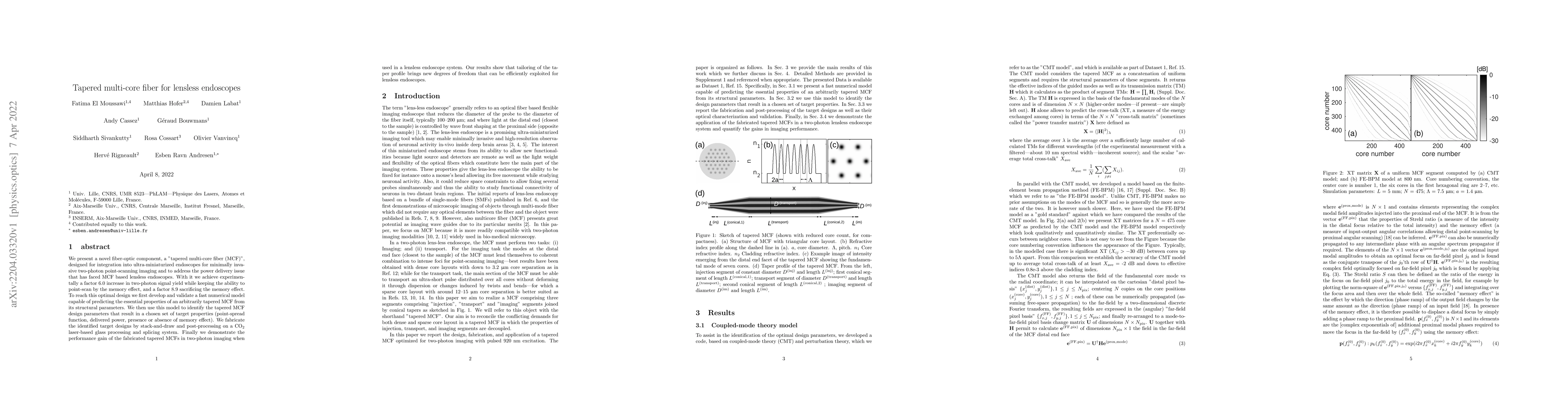 Thumbnail for Tapered multi-core fiber for lensless endoscopes