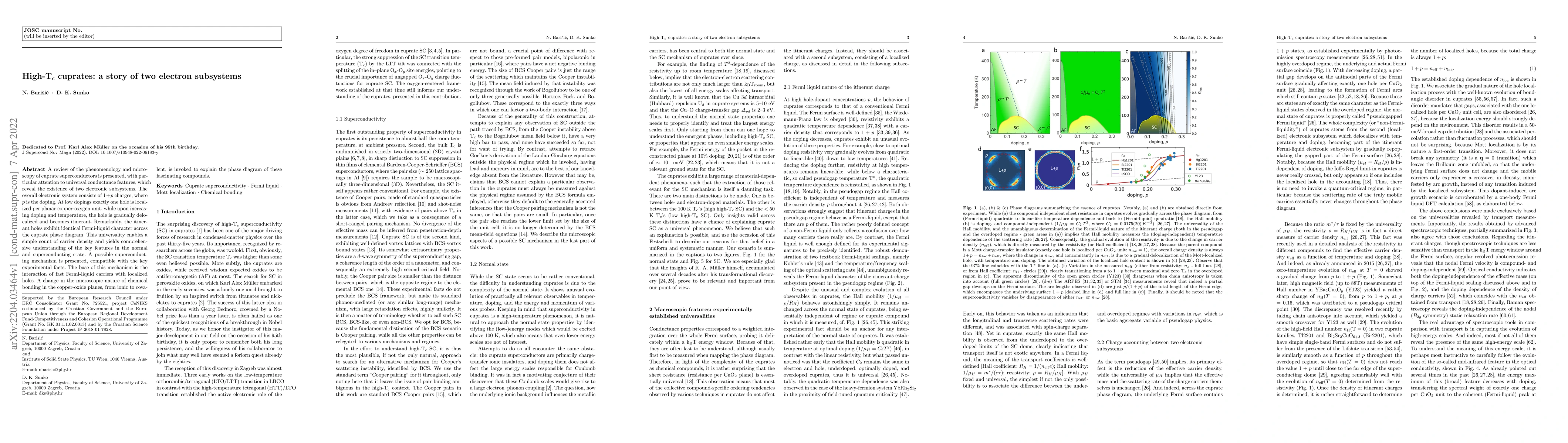 Thumbnail for High-T$_c$ cuprates: a story of two electron subsystems