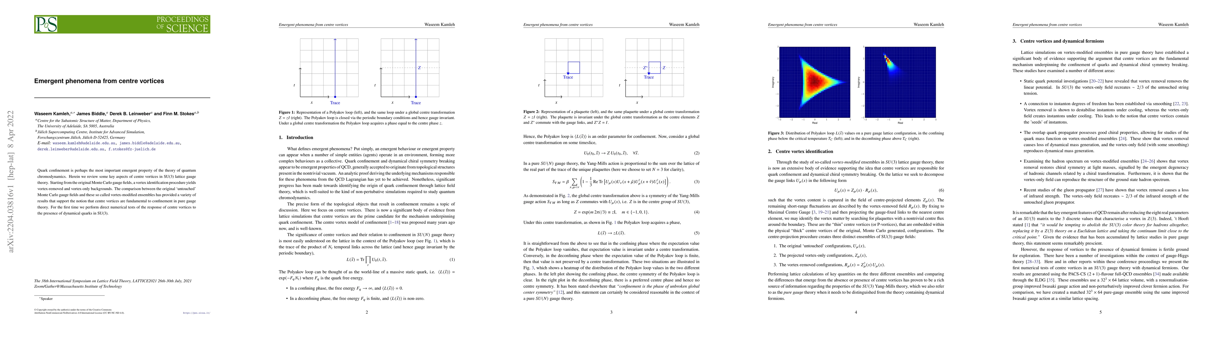 Thumbnail for Emergent phenomena from centre vortices