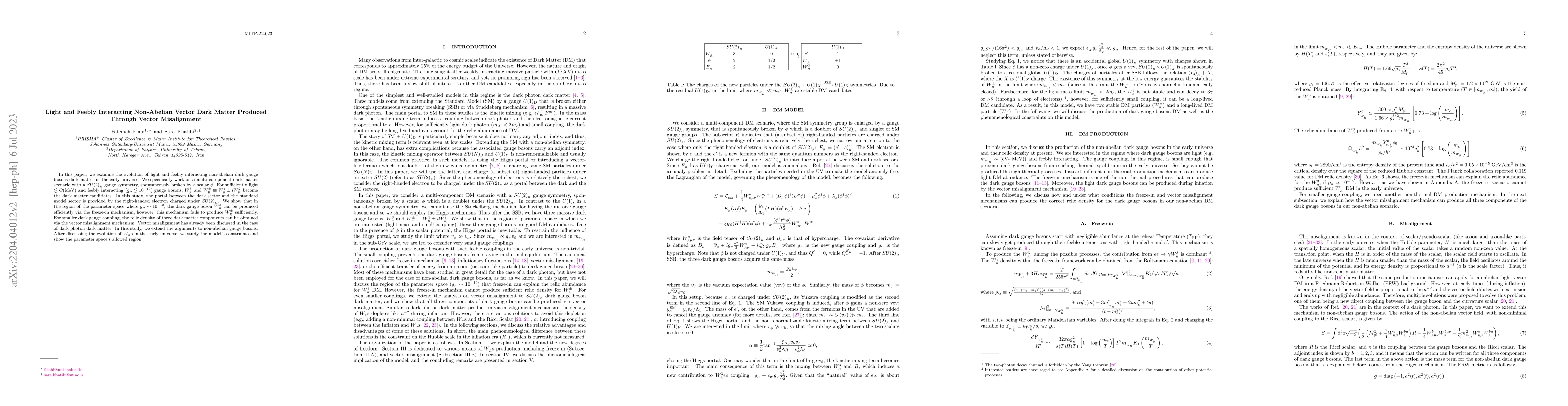Thumbnail for Light and Feebly Interacting Non-Abelian Vector Dark Matter Produced
  Through Vector Misalignment