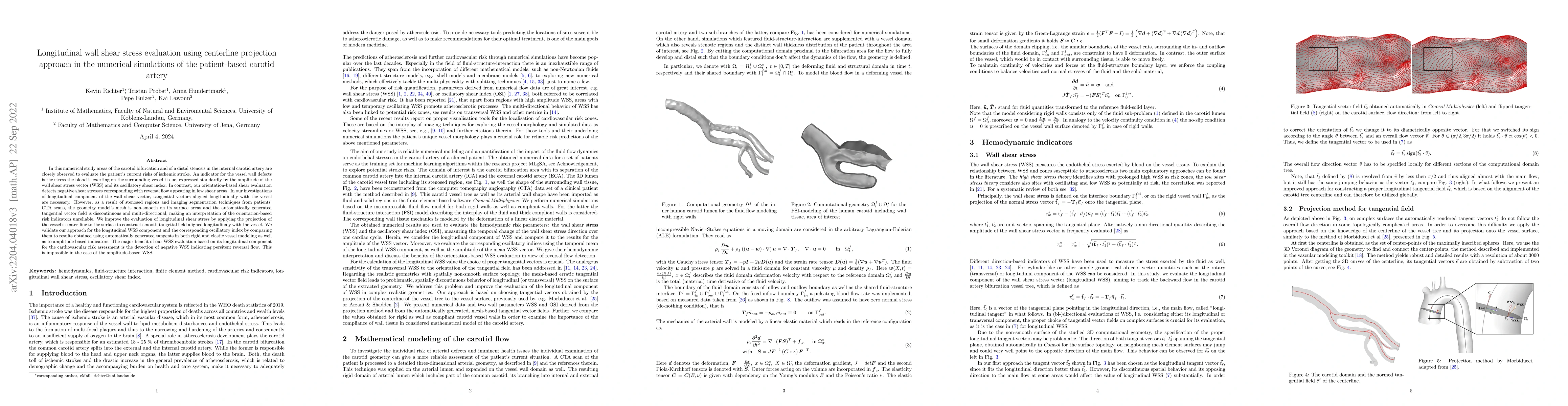 Thumbnail for Longitudinal wall shear stress evaluation using centerline projection
  approach in the numerical simulations of the patient-based carotid artery