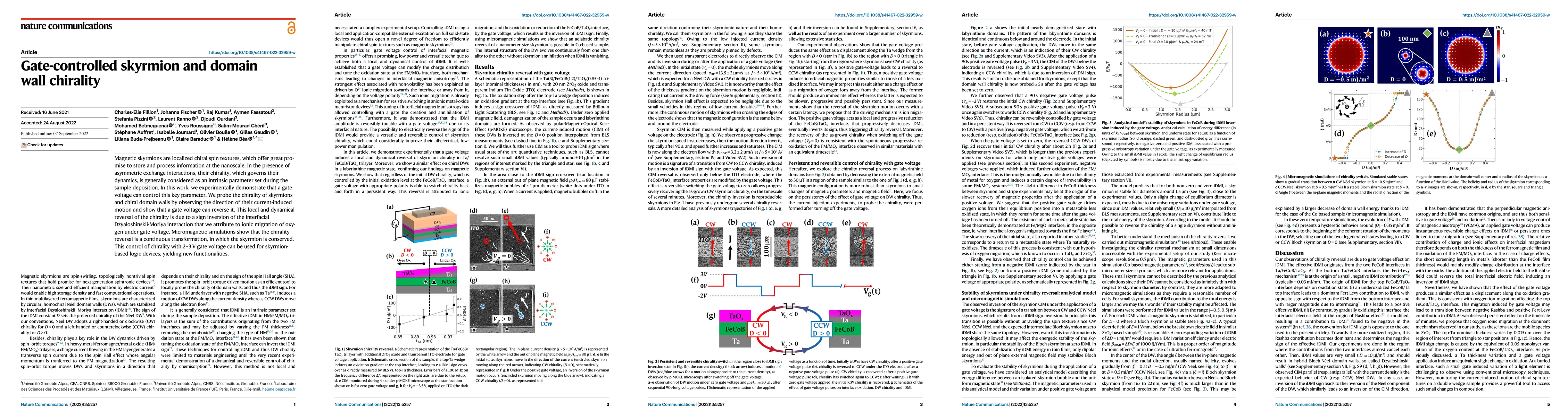 Thumbnail for Gate-controlled skyrmion and domain wall chirality