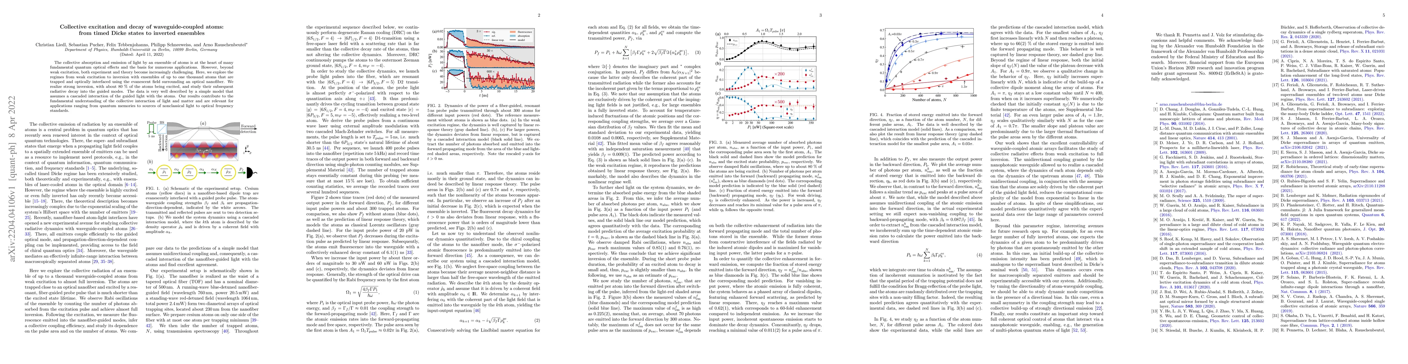 Thumbnail for Collective excitation and decay of waveguide-coupled atoms: from timed
  Dicke states to inverted ensembles
