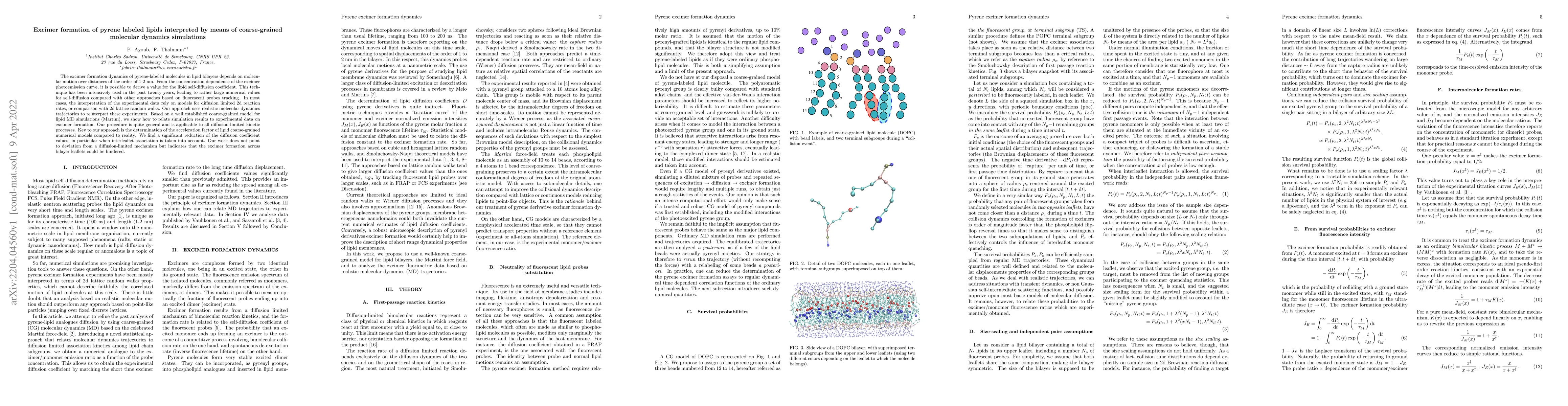 Thumbnail for Excimer formation of pyrene labeled lipids interpreted by means of
  coarse-grained molecular dynamics simulations