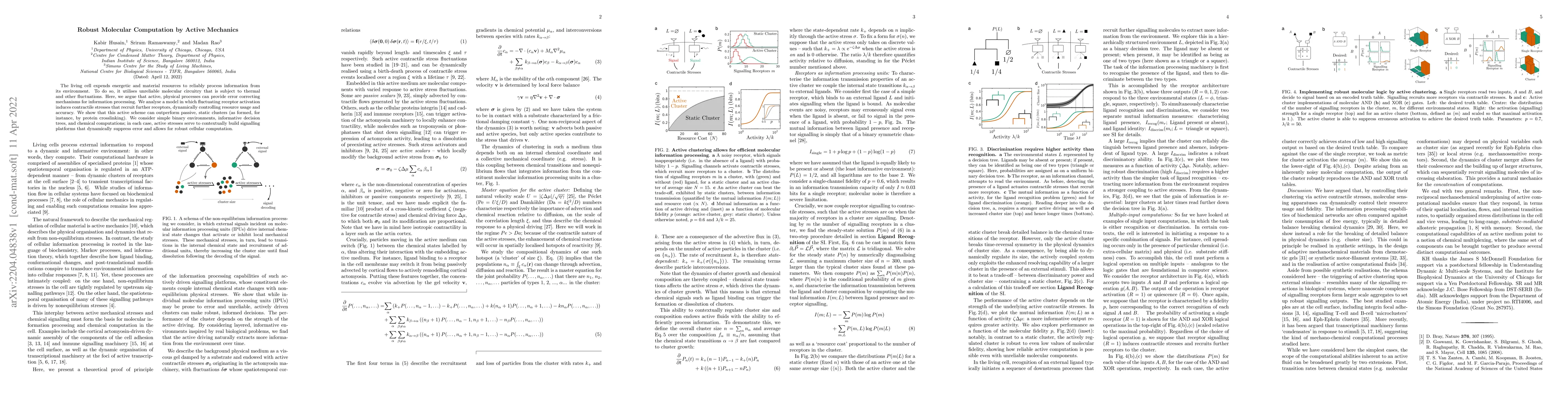 Thumbnail for Robust Molecular Computation by Active Mechanics