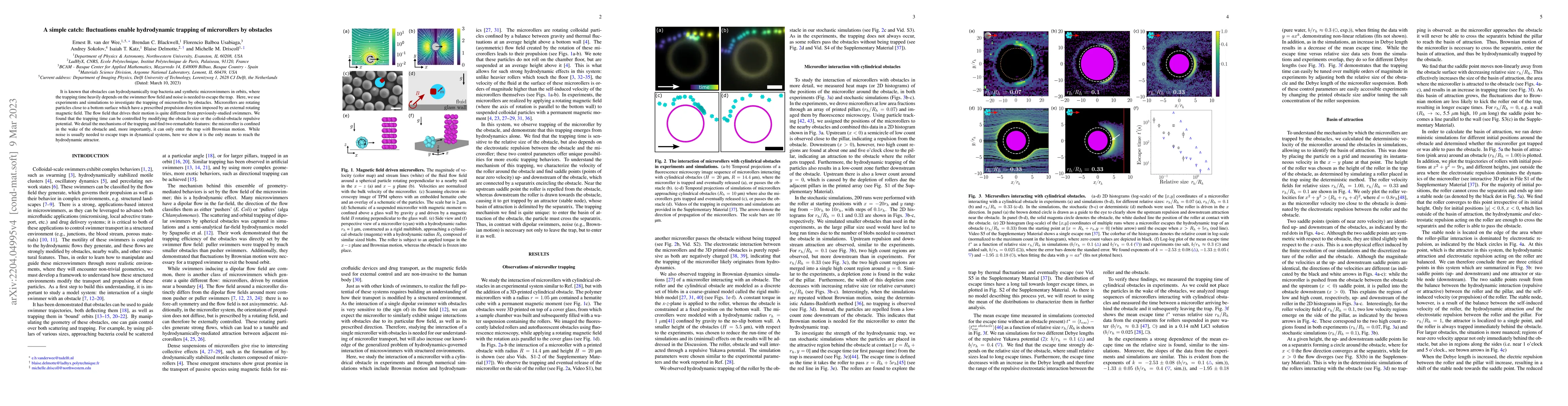 Thumbnail for A simple catch: thermal fluctuations enable hydrodynamic trapping of
  microrollers by obstacles